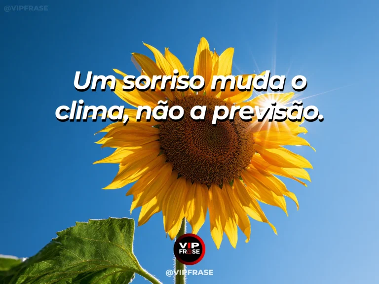 Frase para status sobre sorrir mesmo com chuva, com guarda-chuva colorido aberto sob chuva fina e luz solar ao fundo.