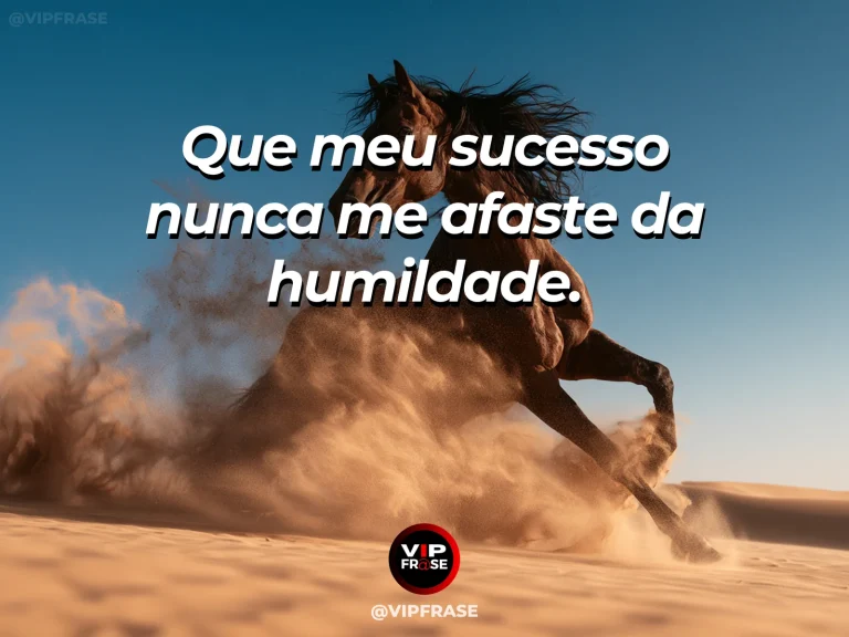 Frase de status sobre sucesso com humildade com trilha de montanha com pequena flor ao lado do cume.