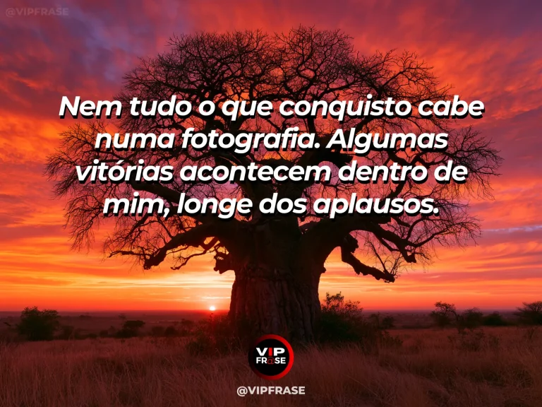 Frase para status sobre vitórias que ninguém vê, com pessoa contemplando vasto cânion ensolarado em silêncio.