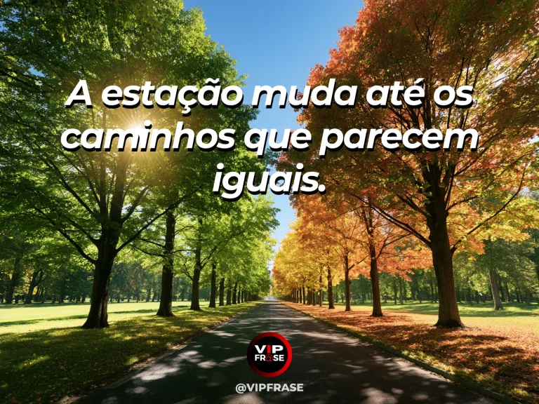 Frase sobre a transformação dos caminhos ao longo das estações, com alameda de árvores com folhas verdes e douradas, flores novas ao longo da trilha.