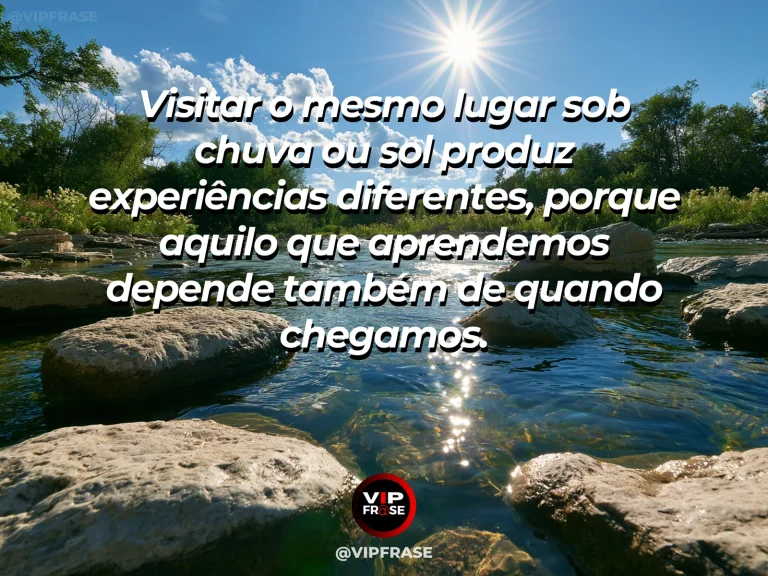 Frase sobre as experiências diferentes de um mesmo lugar, com jardim após chuva de verão, parte da cena iluminada pelo sol e parte sob sombra fresca de folhas.