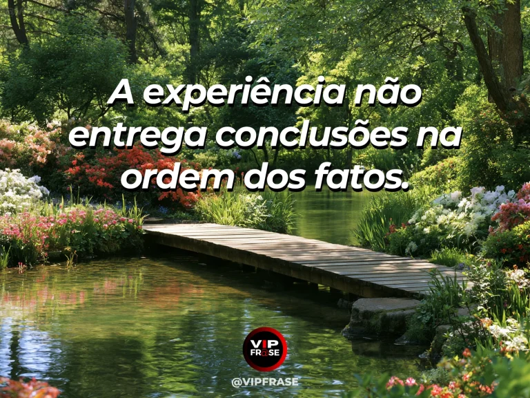 Frase sobre compreensão que chega em momentos inesperados, em uma cena com passarela de madeira curvando sobre jardim de água com flores, curvas sem destino claro.