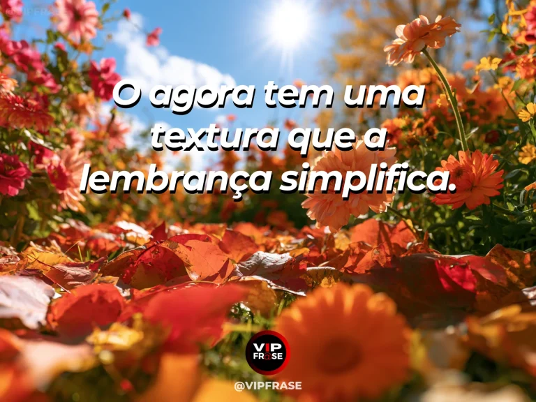 Frase sobre detalhes reais que a memória suaviza, em uma cena com jardim depois da chuva, gotas nítidas sobre flores ao sol entre folhas verdes.