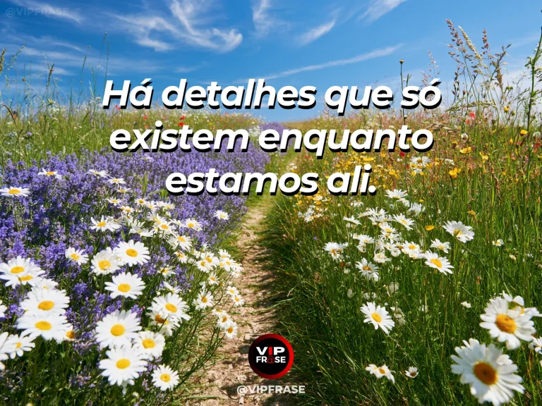 Frase sobre detalhes únicos do momento presente, com flores silvestres banhadas de sol, pequenas gotas brilhando em folhas verdes.