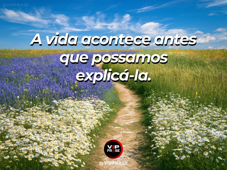 Frase sobre experiência vivida antes do entendimento, em uma cena com caminho luminoso em campo florido que segue além do que os olhos alcançam.