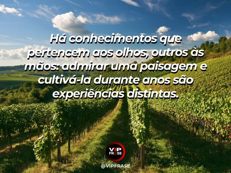 Frase sobre diferença entre observar e cultivar, em uma cena com horta florida em terraços, com canteiros cultivados e vale verde no horizonte.