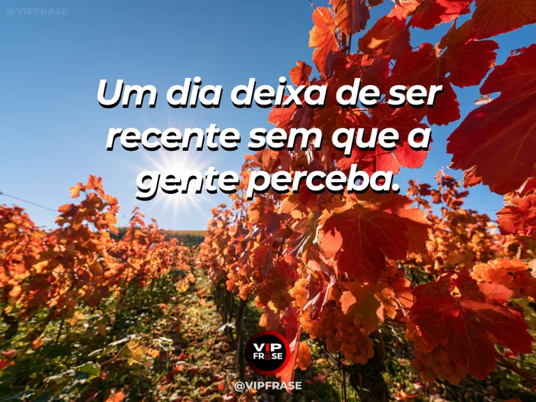 Frase sobre a mudança silenciosa na percepção do passado, com janela antiga aberta para um pomar florido, luz dourada atravessando objetos discretos.