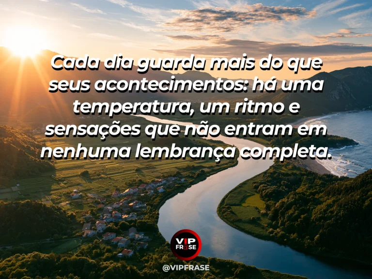 Frase sobre as sensações cotidianas que não entram nas lembranças, com mesa próxima de janela florida, sol e sombras de folhas sobre frutas e cerâmica.