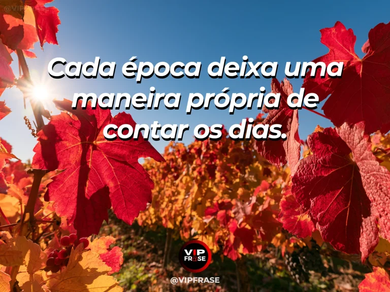 Frase sobre diferentes maneiras de sentir o tempo, em uma cena com caminho de pedras junto a canteiros sazonais floridos em parque luminoso.