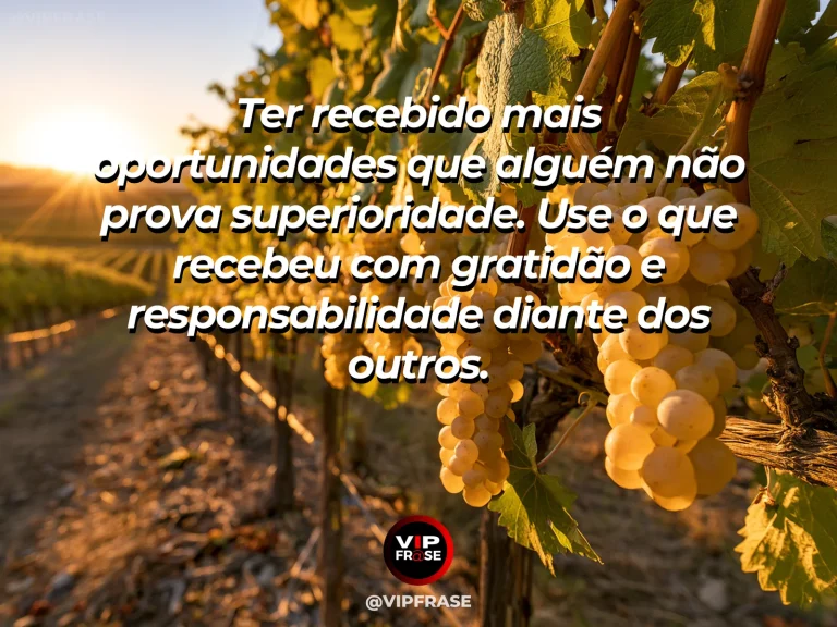 Mensagem de sabedoria sobre oportunidades com gratidão, com cestos de flores diferentes em varanda ensolarada.