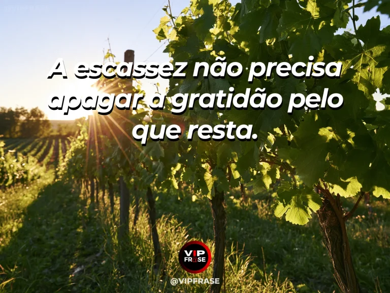 Mensagem de força sobre gratidão na escassez, com oliveira ancestral sobre terraços de pedra ensolarados.