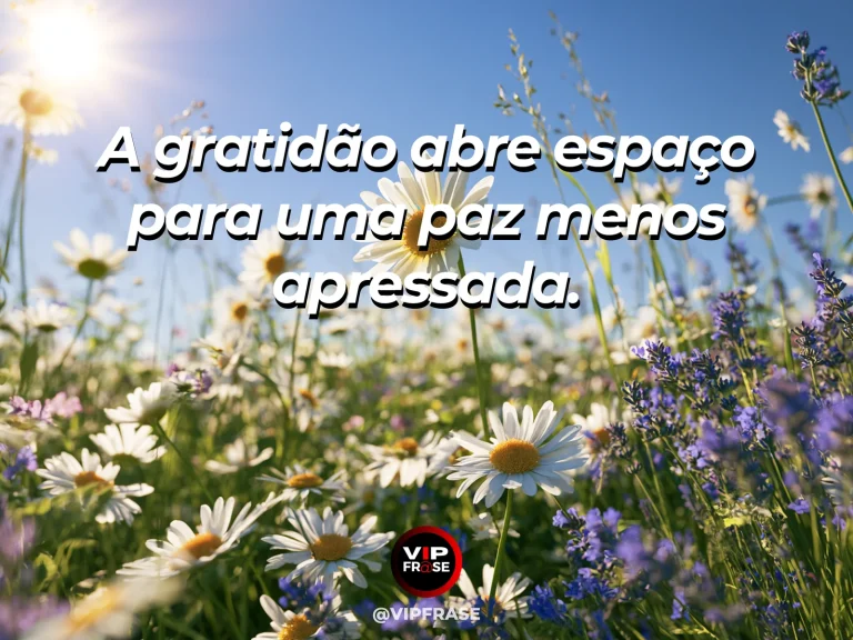 Prado colorido com margaridas e flores silvestres em arte sobre gratidão para viver com paz.