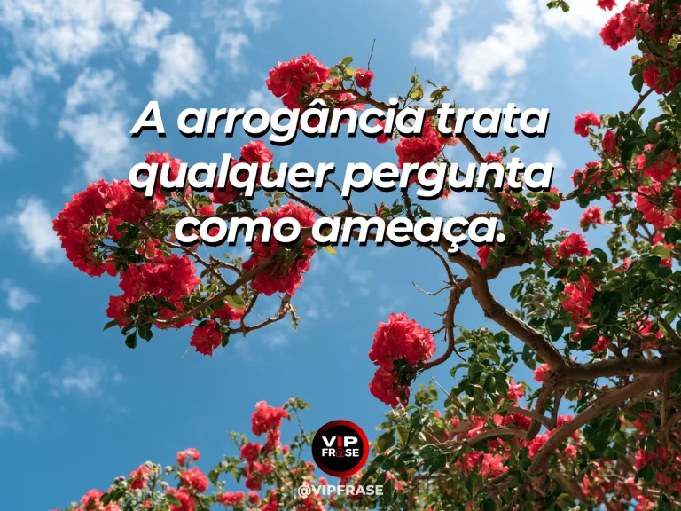 Frase de sabedoria sobre humildade diante de perguntas, com portão aberto de um jardim com caminhos iluminados e flores altas.