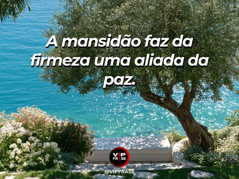 Arte com frase de paz sobre mansidão e firmeza na busca da paz, em cenário de oliveira robusta à beira de mar azul e flores brancas.