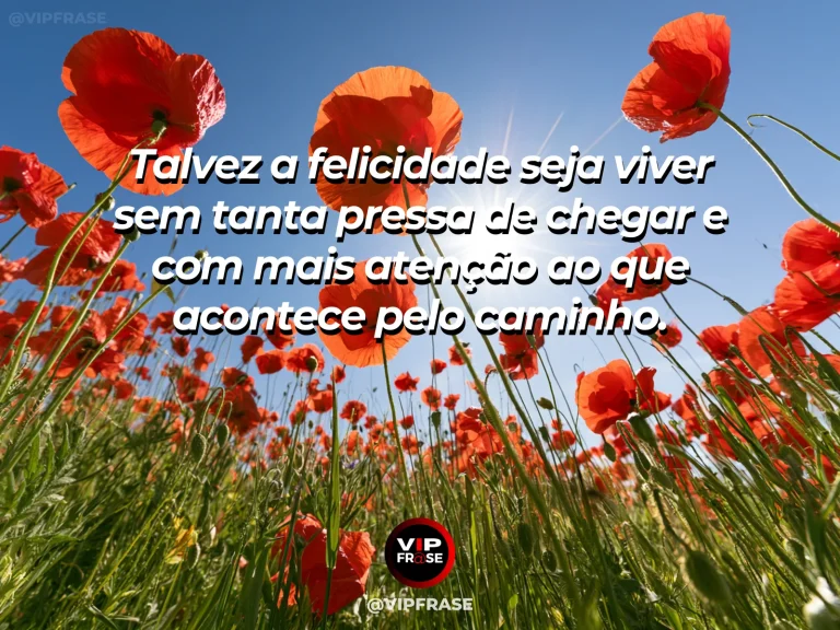 Mensagem sobre felicidade e alegria de viver, com poppy meadow path.