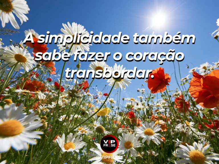 Mensagem sobre felicidade e alegria de viver, com daisies in sunlight.