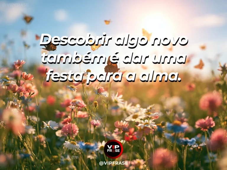 Mensagem de felicidade sobre um mundo de descobertas, com borboletas sobre flores coloridas.