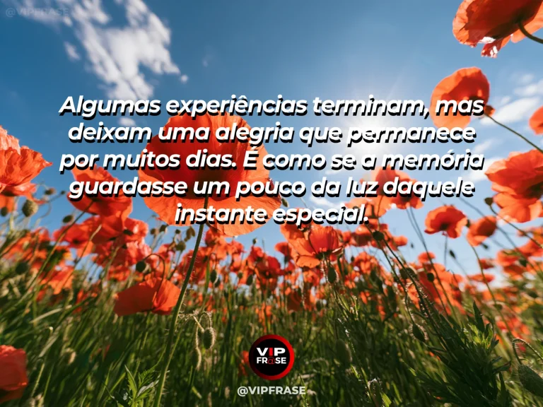Mensagem sobre felicidade e a felicidade que continua depois do momento, com golden hour meadow with delicate flowers and lingering amber sunlight.