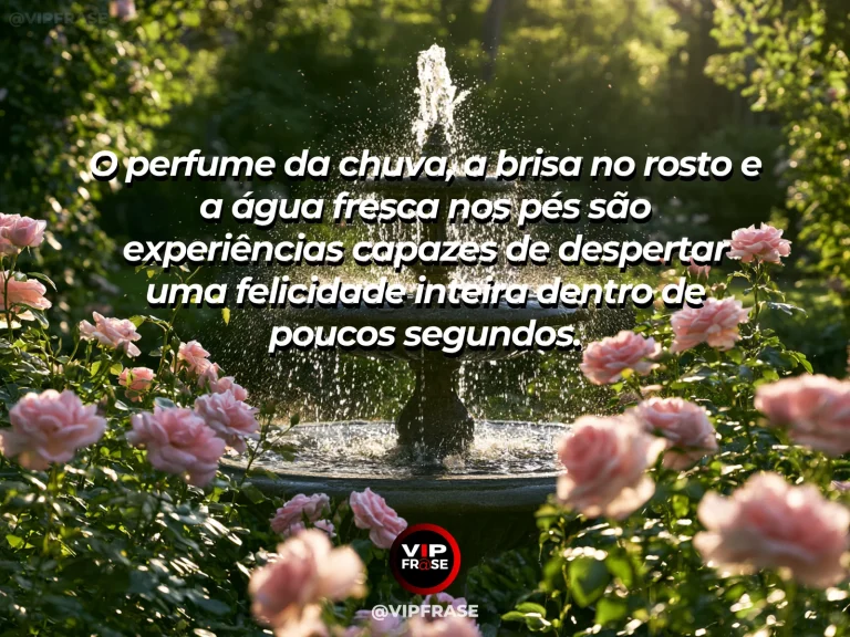 Mensagem sobre felicidade e momentos que despertam os sentidos, com raindrops sparkling over bright garden flowers after summer rain.