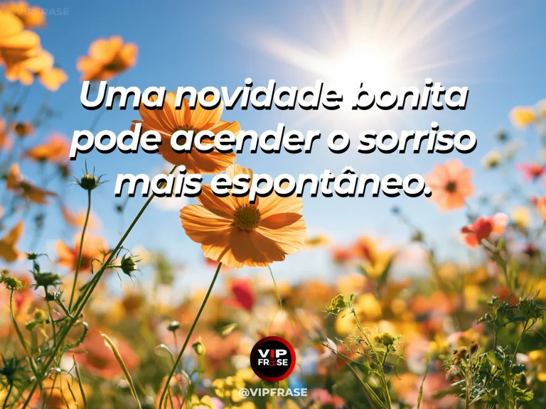 Mensagem sobre felicidade e o brilho de uma novidade, com orange and pink cosmos flowers opening toward the sun.