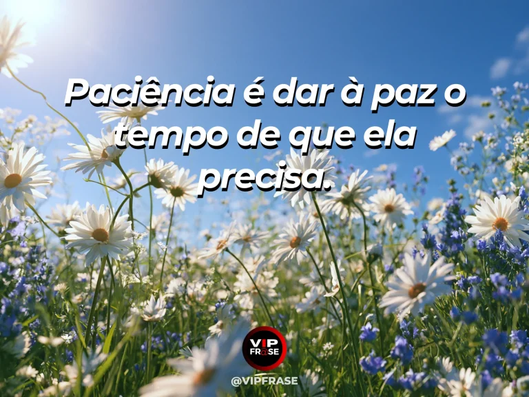 Mensagem sobre a força tranquila da paciência, com fileira de margaridas e capim dourado sob brisa suave da manhã.