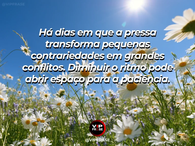 Mensagem sobre desacelerar para perceber o essencial, com campo de flores leves sob céu azul, luz delicada da manhã.