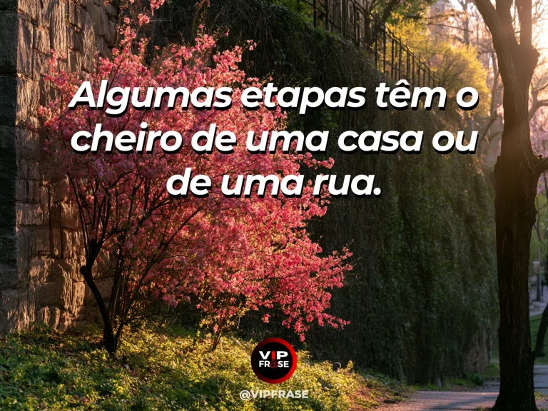 Mensagem sobre a vida, com rua pequena com flores aromáticas diante de uma casa acolhedora.