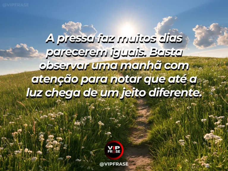 Mensagem sobre a vida, com um campo verde e florido banhado pela luz suave do amanhecer.
