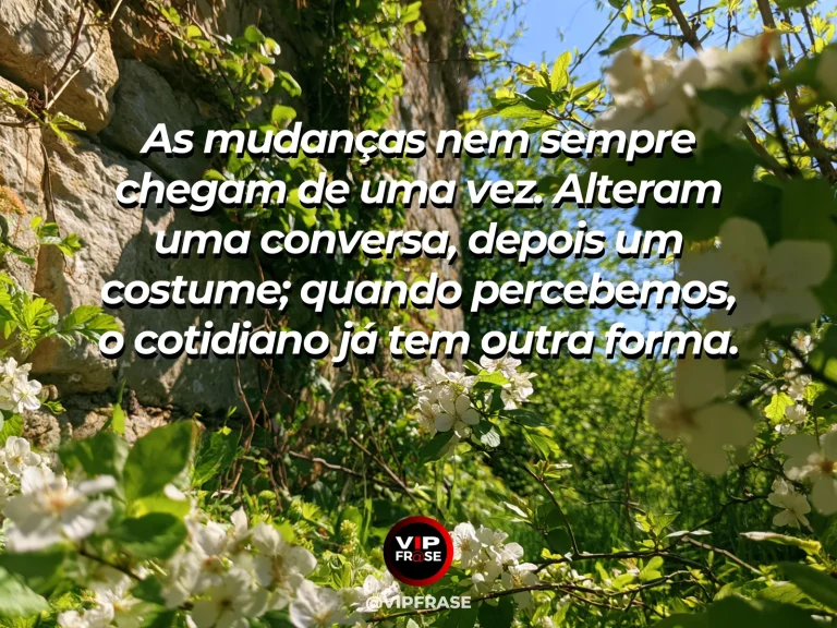 Mensagem sobre a vida, com um pátio antigo com trepadeiras novas e flores multicoloridas.