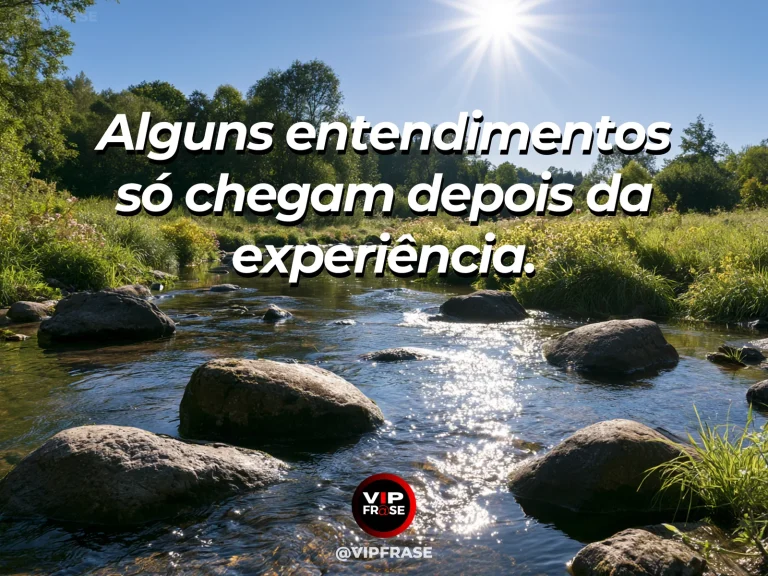 Mensagem sobre a vida com encosta com oliveiras e lavandas coloridas.