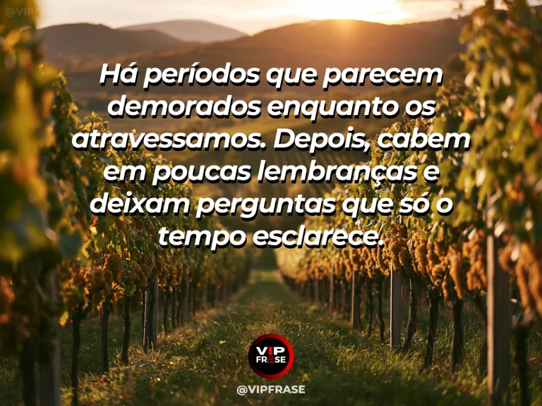 Mensagem sobre a vida com vinhedo dourado em colinas ensolaradas.