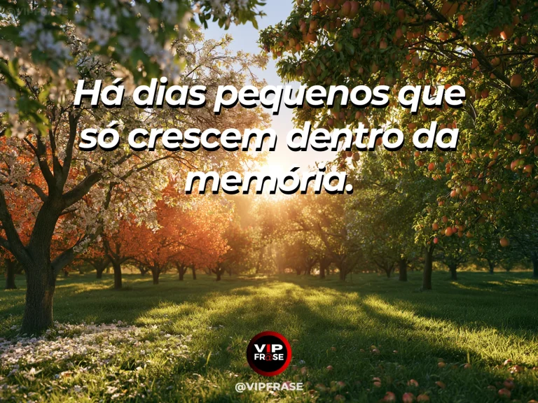 Mensagem sobre a vida com pomar florido iluminado pela manhã.