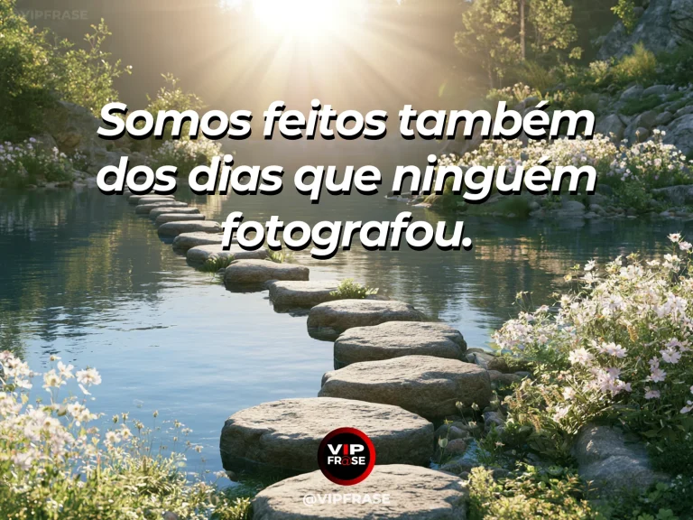 Mensagem sobre a vida com ruela de campo com margaridas e portões de jardim.
