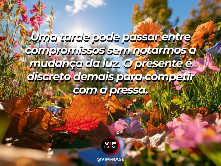Mensagem sobre a vida, com um terraço florido em que a luz da tarde desenha sombras suaves.