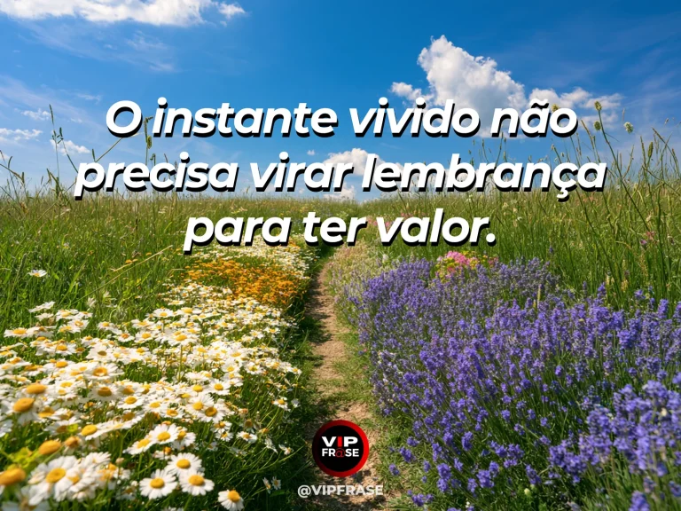Mensagem sobre a vida, com um campo vibrante de flores silvestres sob um céu azul.