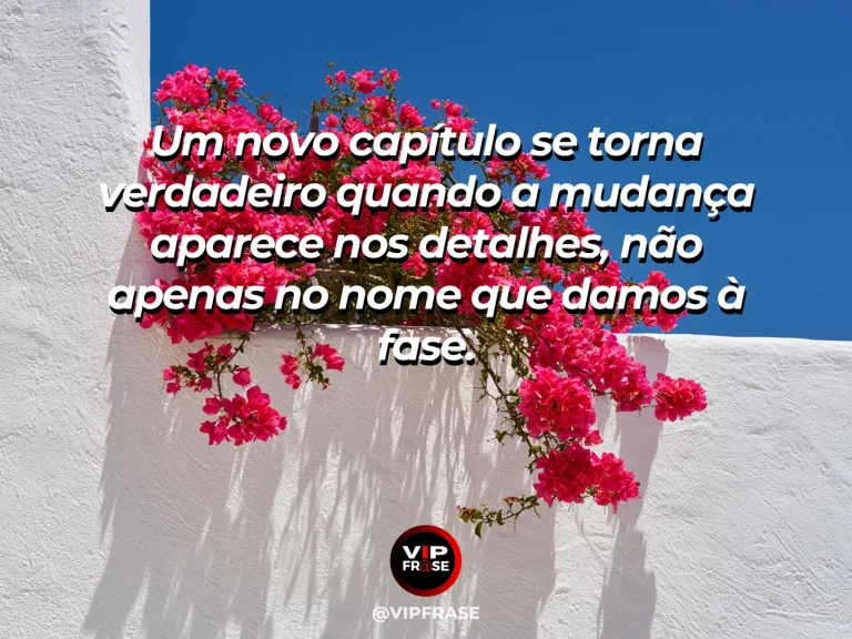 Frase sobre recomeço e mudanças concretas para uma nova fase, em cena de pequenas flores novas surgindo junto a uma passagem de pedras restaurada.