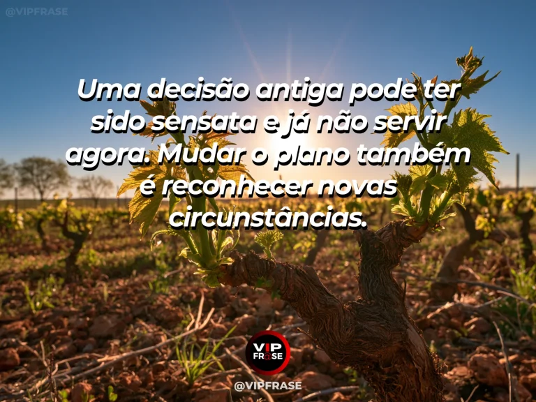 Mensagem sobre recomeço e revisar decisões antigas diante de um contexto diferente, com trilha em jardim muda de nível para contornar pedra sob sol vivo.