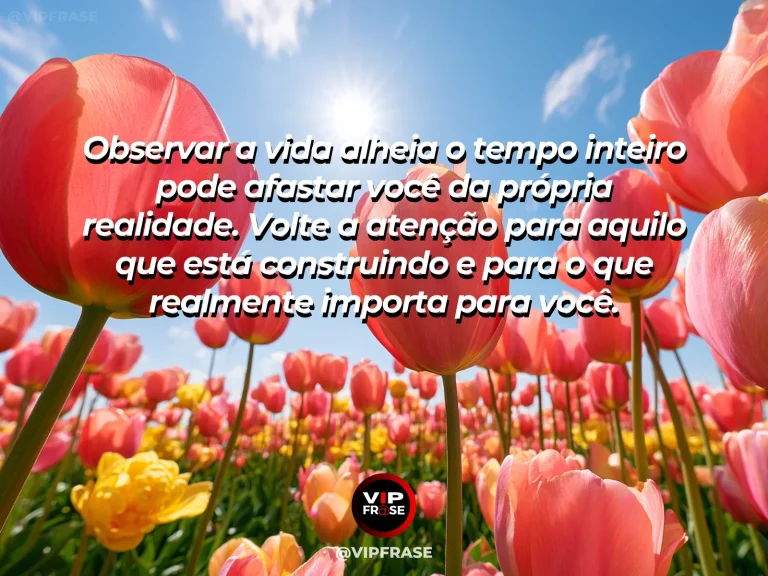 Mensagem de autoestima sobre stepping out of constant comparison, com two different flower beds flourishing side by side