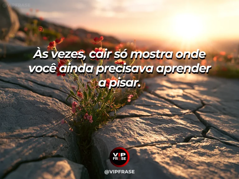 Frase de superação em wildflowers growing through cracked stone in warm morning light.