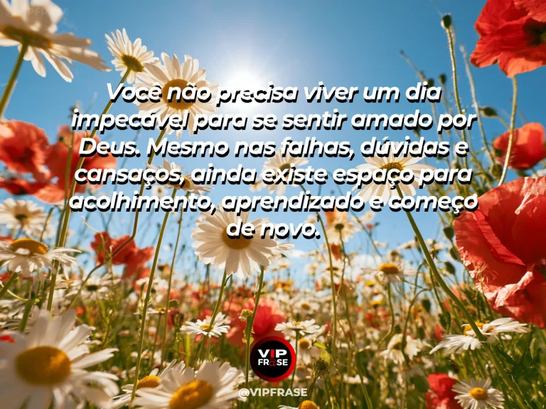 Mensagem sobre Deus com jardim com flores imperfeitas iluminadas pela tarde.