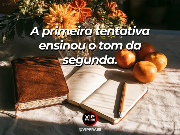 Mensagem sobre segunda tentativa em mesa com caderno e novas plantas.