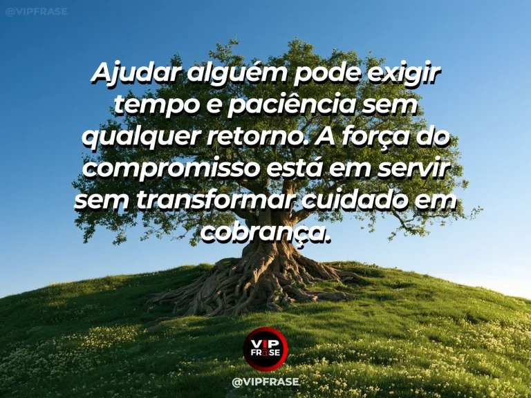 Mensagem de força sobre o cuidado que não depende de recompensa, com oliveiras centenárias protegendo campo de flores.