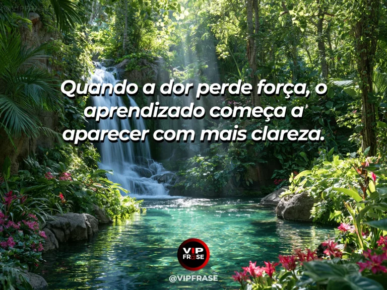 Frase de superação em clear stream revealing stones beneath the surface.