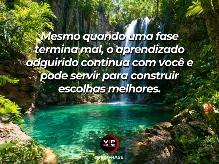 Mensagem de superação em cenário natural sobre o que você perdeu não leva tudo o que aprendeu.