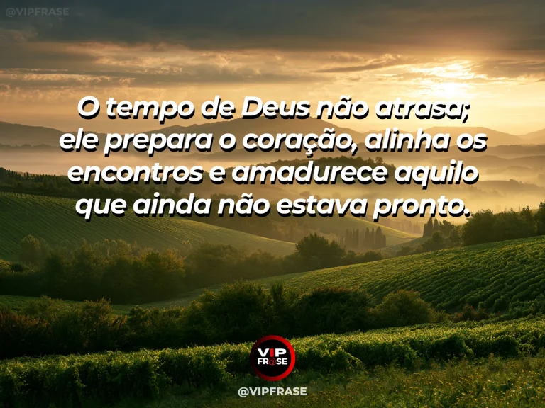 Arte sobre o tempo de deus prepara tudo, com vinhedo maduro iluminado pelo pôr do sol dourado.