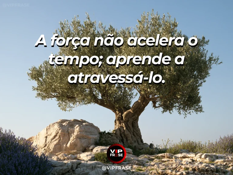 Frase de força sobre o tempo não se apressa, com relógio de sol em jardim mediterrâneo com oliveira antiga.