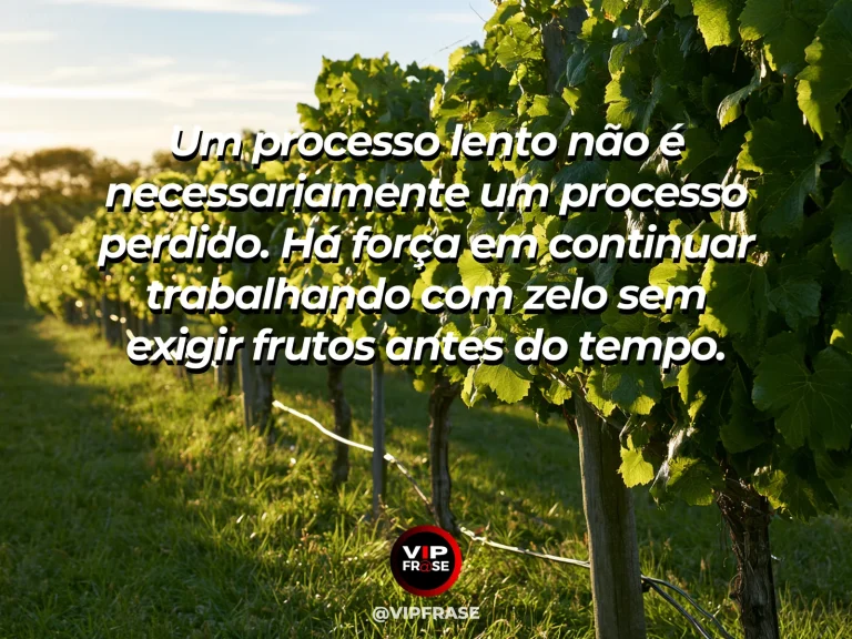 Frase de força sobre perseverança que não confunde demora e derrota, com oliveiras antigas com pequenos frutos sobre terraços floridos.