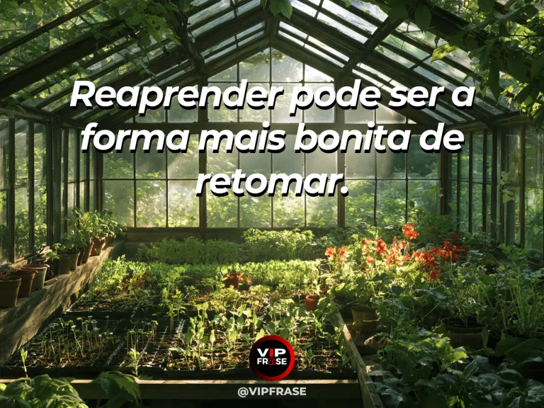 Mensagem de recomeço sobre reaprender uma prática para voltar a ela, em mudas e ferramentas simples em estufa iluminada.