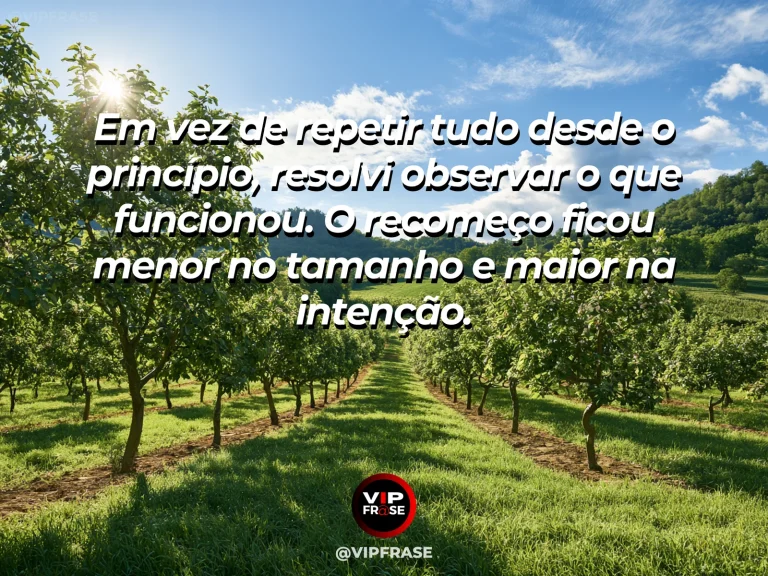 Mensagem de recomeço sobre aprender o que vale preservar antes de recomeçar, em pequena horta cuidada com mudas antigas e novas lado a lado.