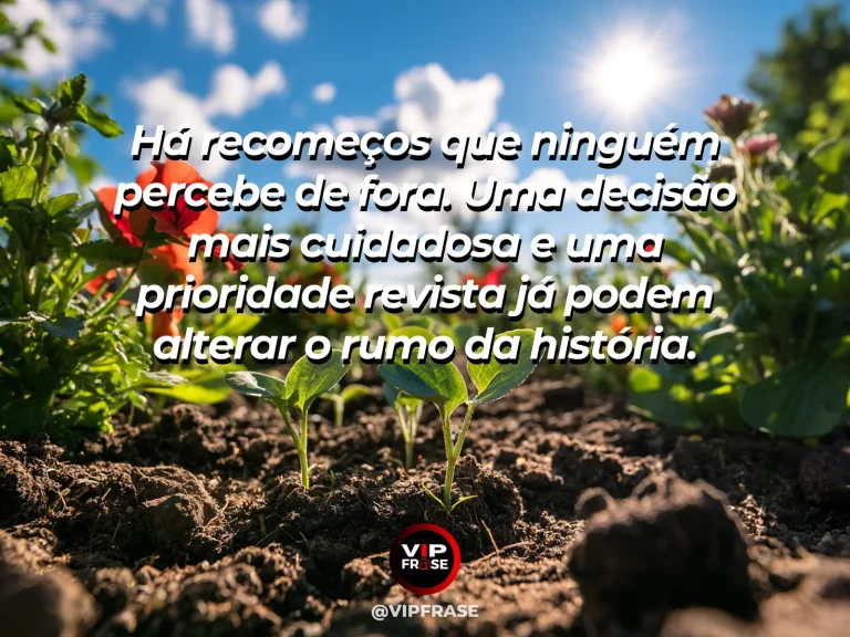 Mensagem sobre recomeços discretos com muda entre pedras de jardim.
